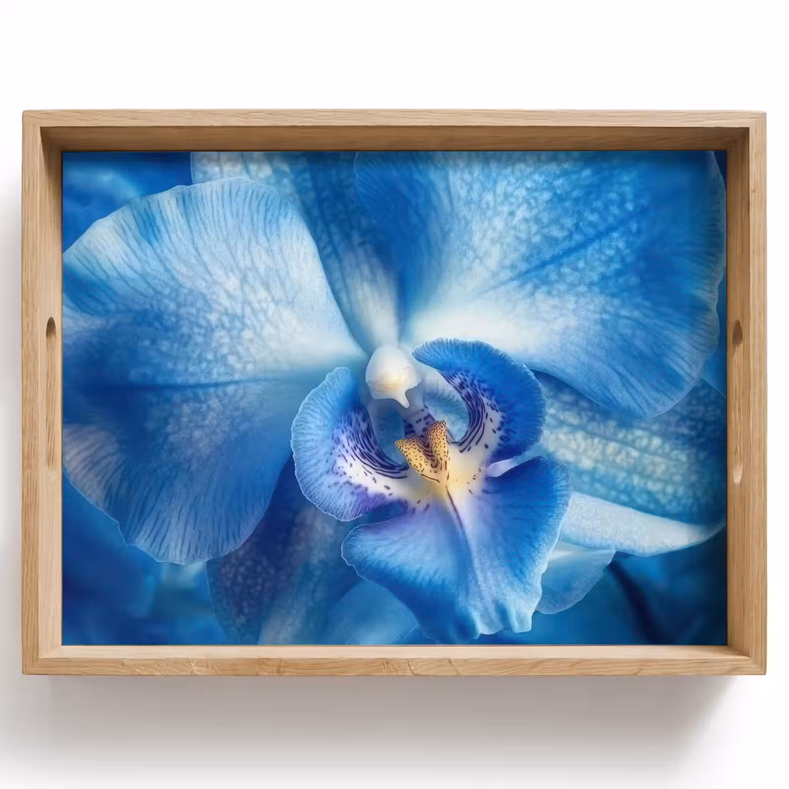 Tablett - Blau - Orchidee - Elegeant — 1