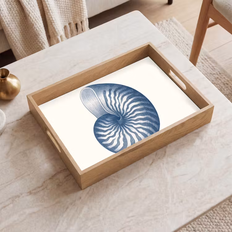 Tablett - Blau - Muschel - Spirale — 2
