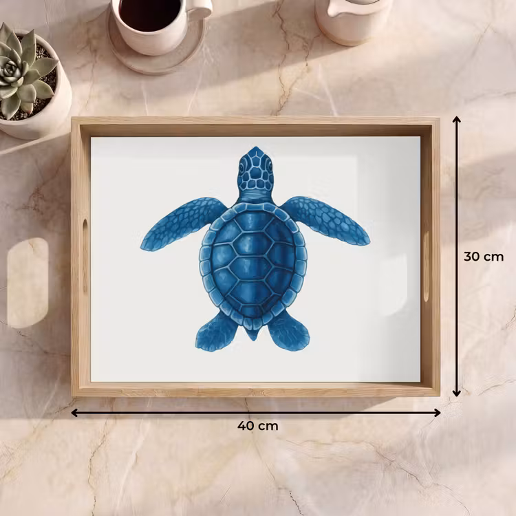 Tablett - Schildkröte - Blau - Schild — 7