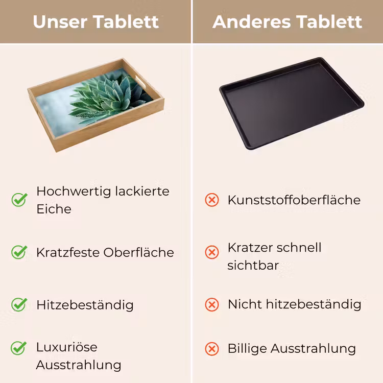 Tablett - Sukkulente - Blätter - Grün - Unscharf — 9