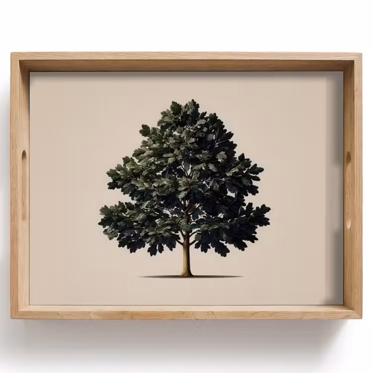 Tablett - Eichenbaum - Schatten - Glatt — 1