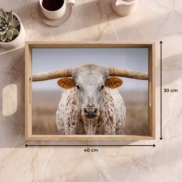 Tablett - Longhorn - Grasfeld - Tier — 7