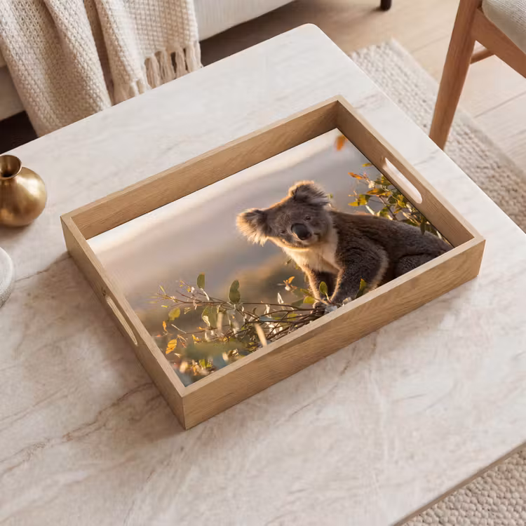 Tablett - Koala - Blätter - Morgenlicht — 2