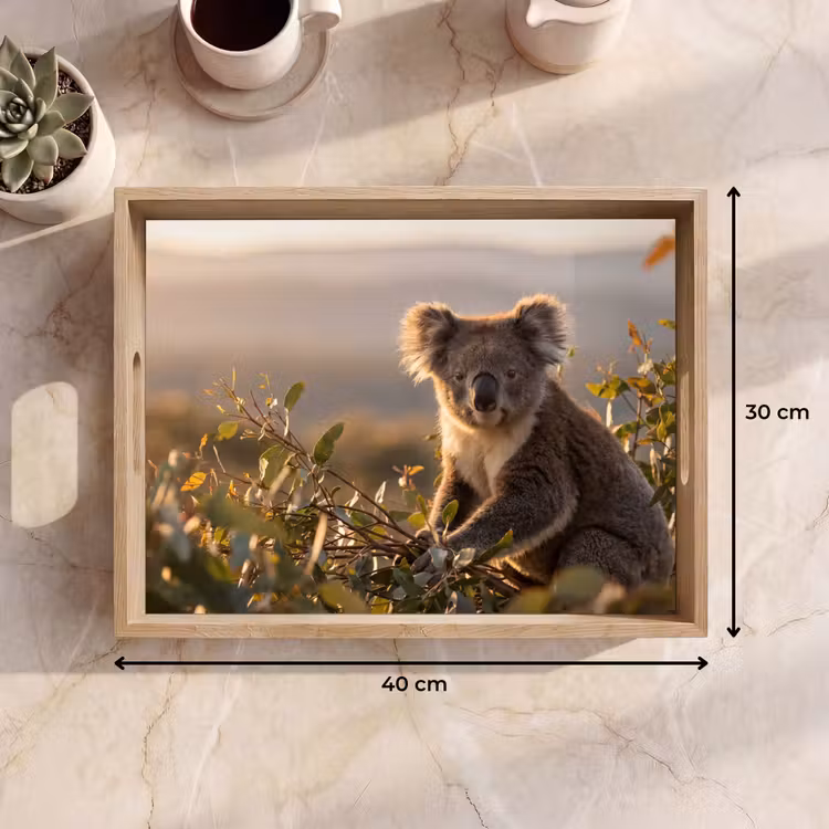 Tablett - Koala - Blätter - Morgenlicht — 7