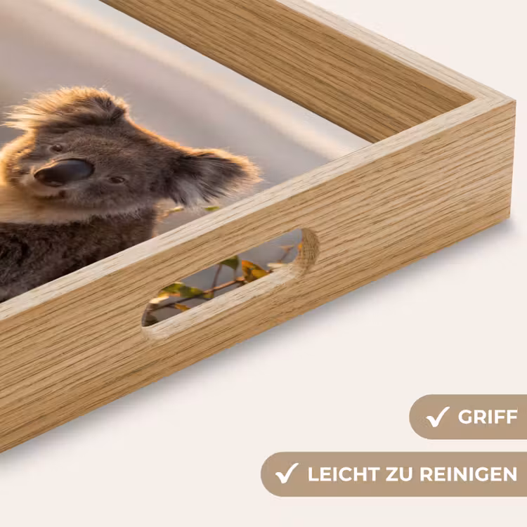 Tablett - Koala - Blätter - Morgenlicht — 8