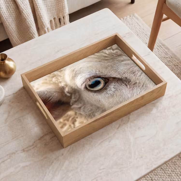 Tablett - Schaf - Auge - Weiß — 2