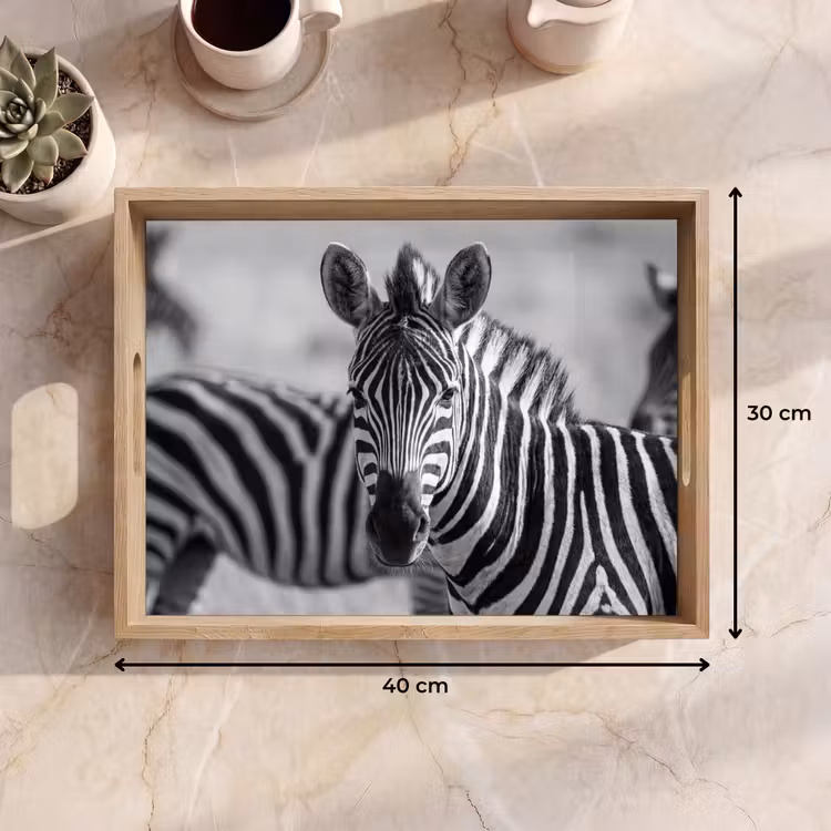 Tablett - Zebras - Schwarz - Weiß — 7