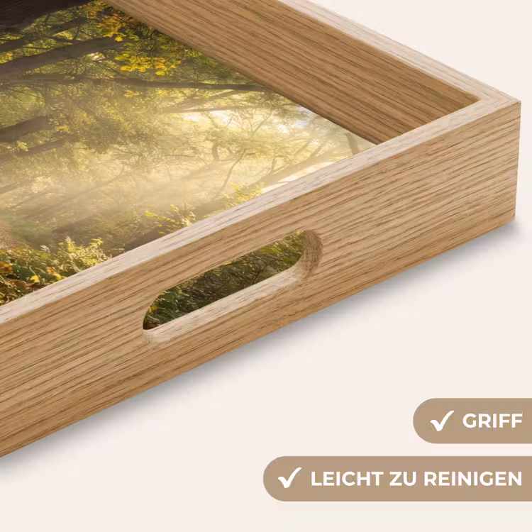 Tablett - Sonnenlicht - Waldweg - Bäume — 8