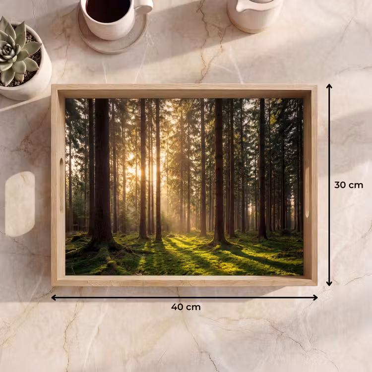 Tablett - Wald - Gras - Sonnenlicht — 7