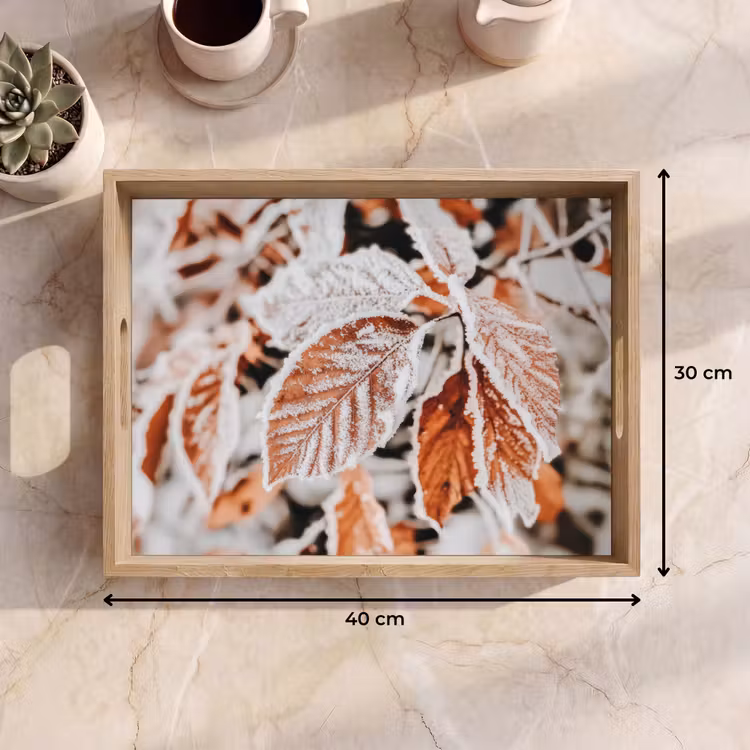 Tablett - Laub - Eis - Winter - Natur — 7