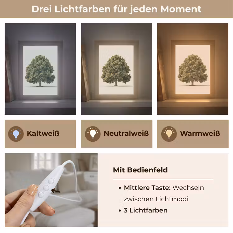 Tischlampe - Eichenbaum - Grün - Heller Hintergrund — 6