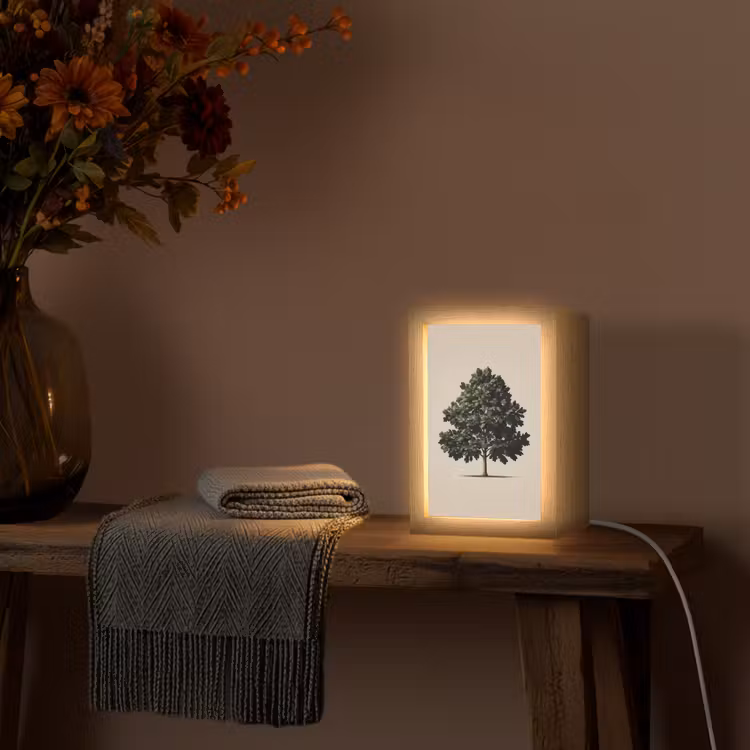 Tischlampe - Eichenbaum - Schatten - Glatt — 2