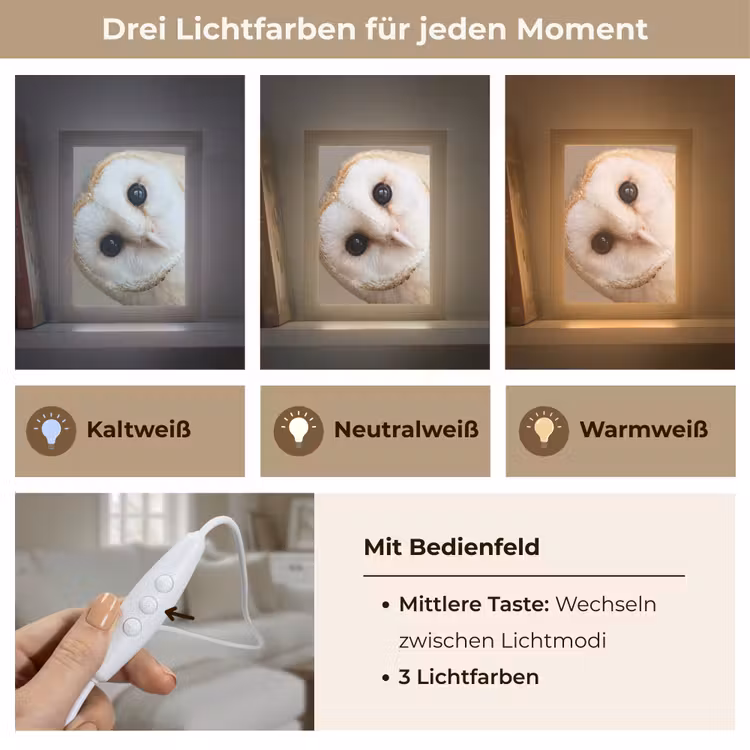 Tischlampe - Eule - Braun - Weiß — 6