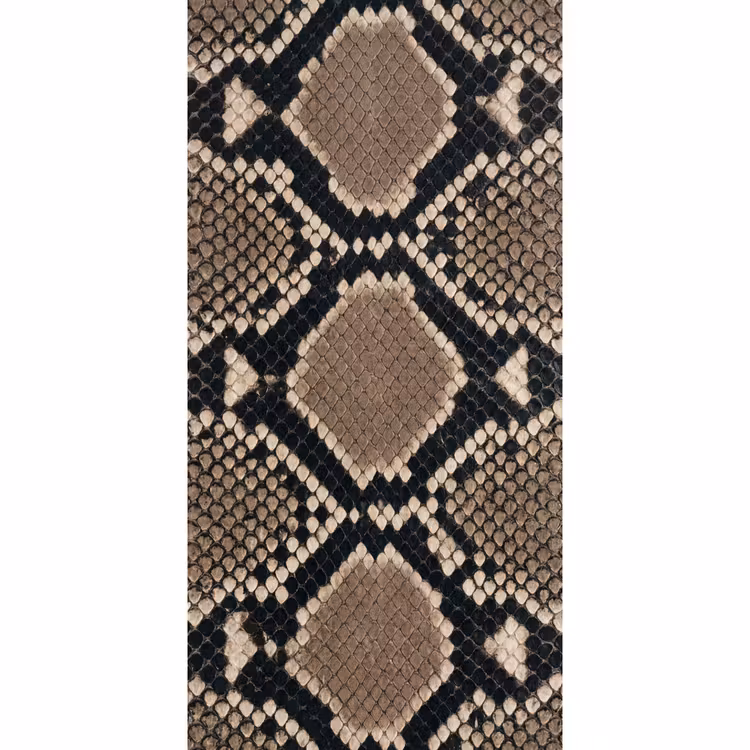 Tapete - Schlangendruck - Python - Braun — 2