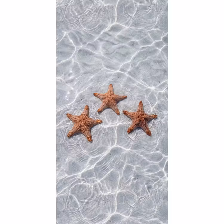 Tapete - Seestern - Wasser - Klar — 2