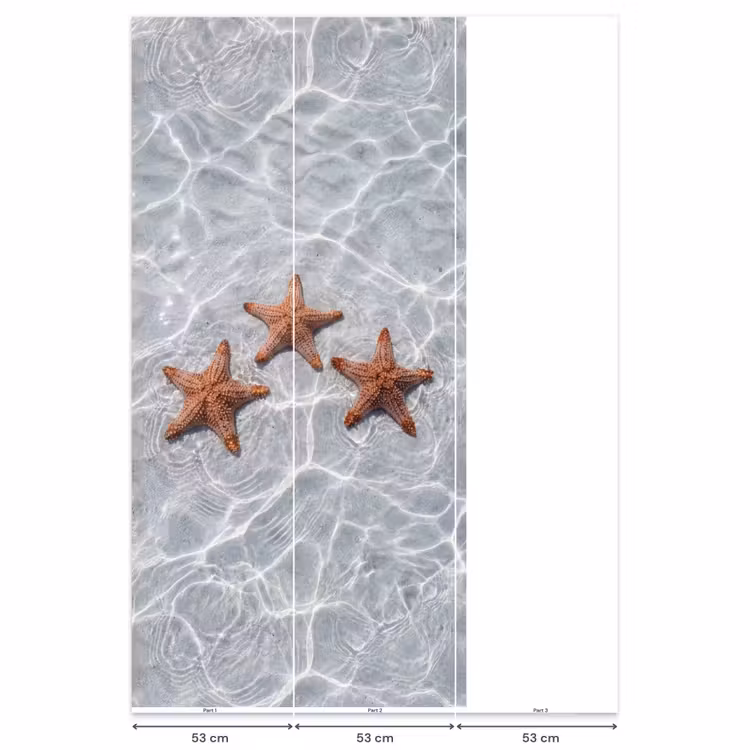 Tapete - Seestern - Wasser - Klar — 6