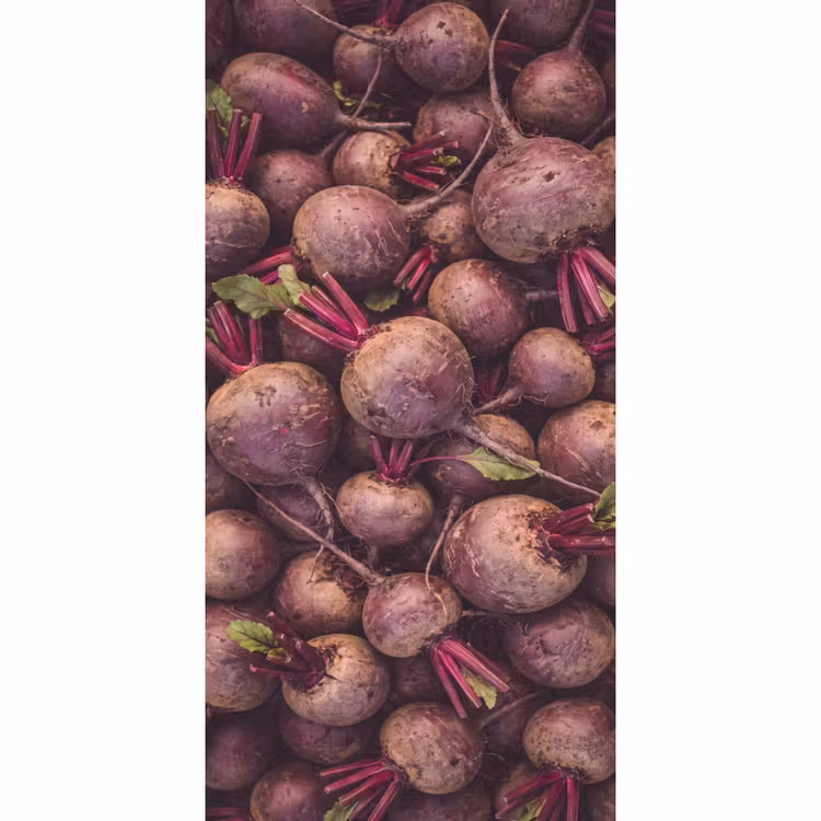 Tapete - Gemüse – Rot – Natur — 2