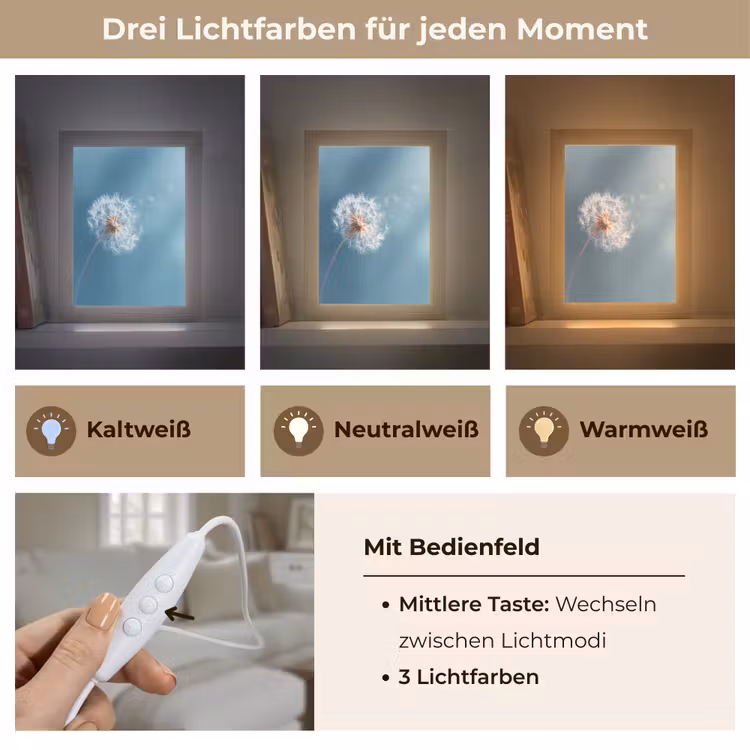 Tischlampe - Löwenzahn - Wind - Blau — 6