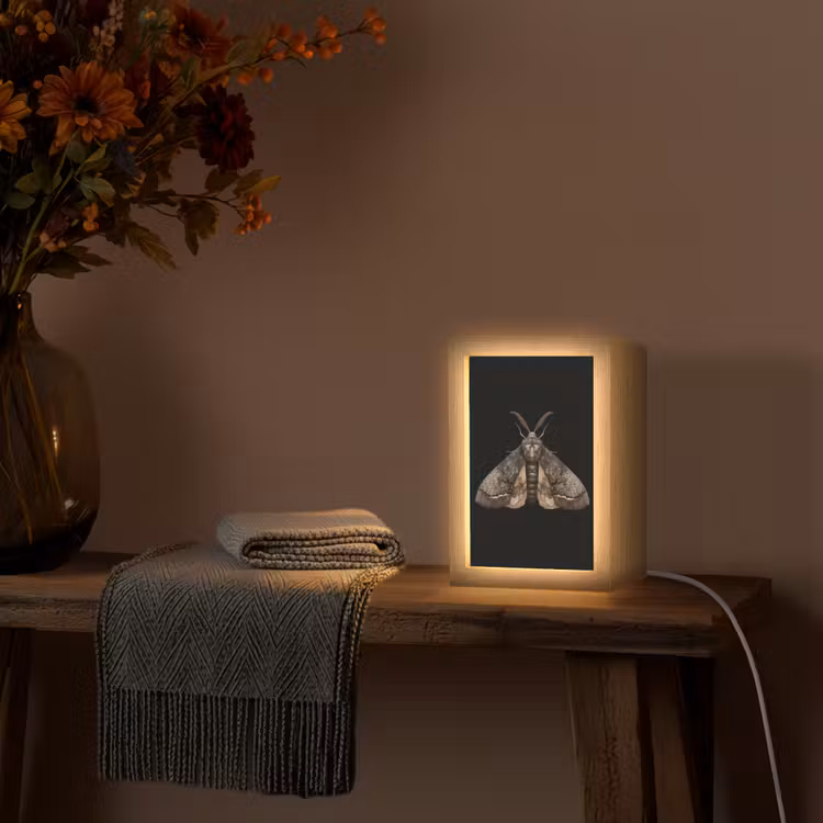 Tischlampe - Motte - Blättrig - Grau — 2