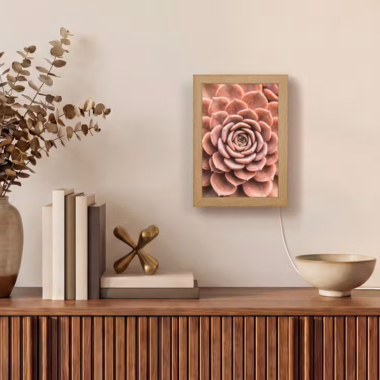 Tischlampe - Sukkulente - Bio - Rosa — 4