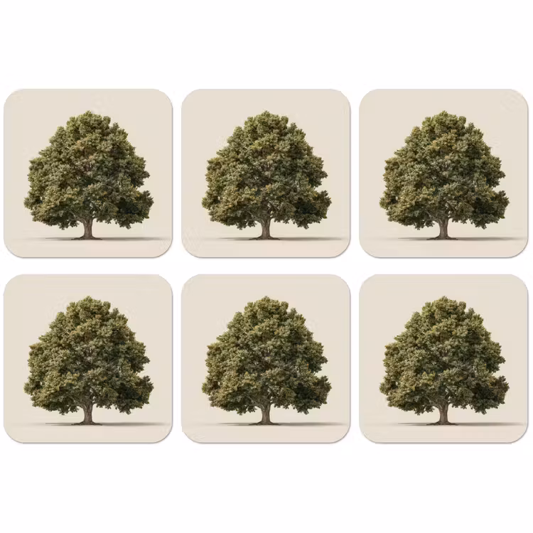 Untersetzer - Eichenbaum - Grün - Heller Hintergrund — 1