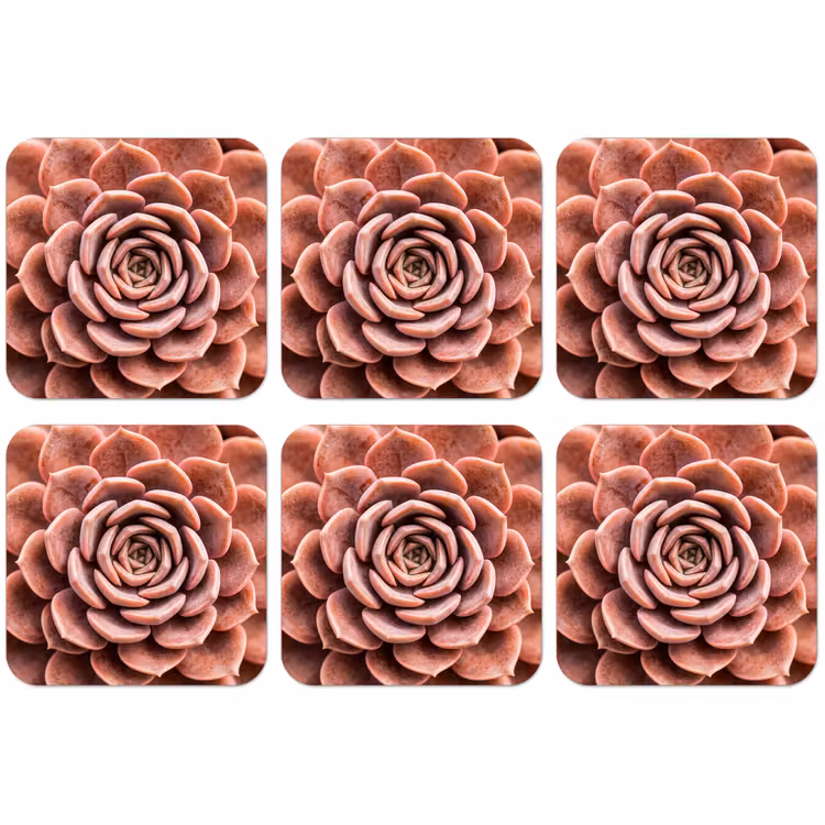Untersetzer​ - Sukkulente - Bio - Rosa — 1