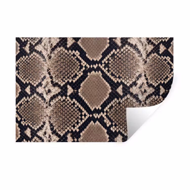 Wandtattoo – Schlangendruck - Python - Braun — 1