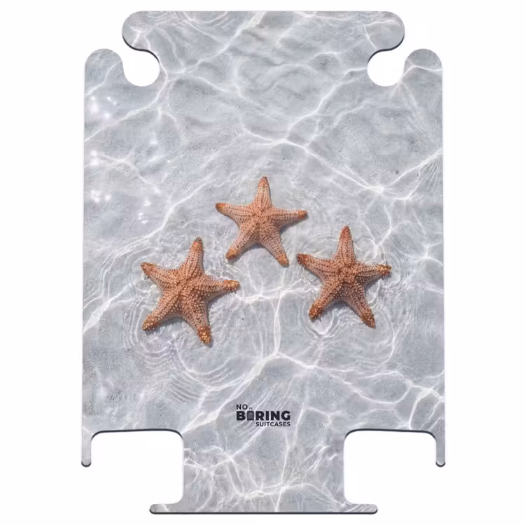 CaseSwap - Seestern - Wasser - Klar — 1