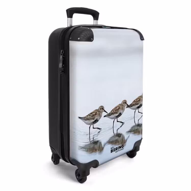CaseSwap - Vögel – Wasser – Grau — 2