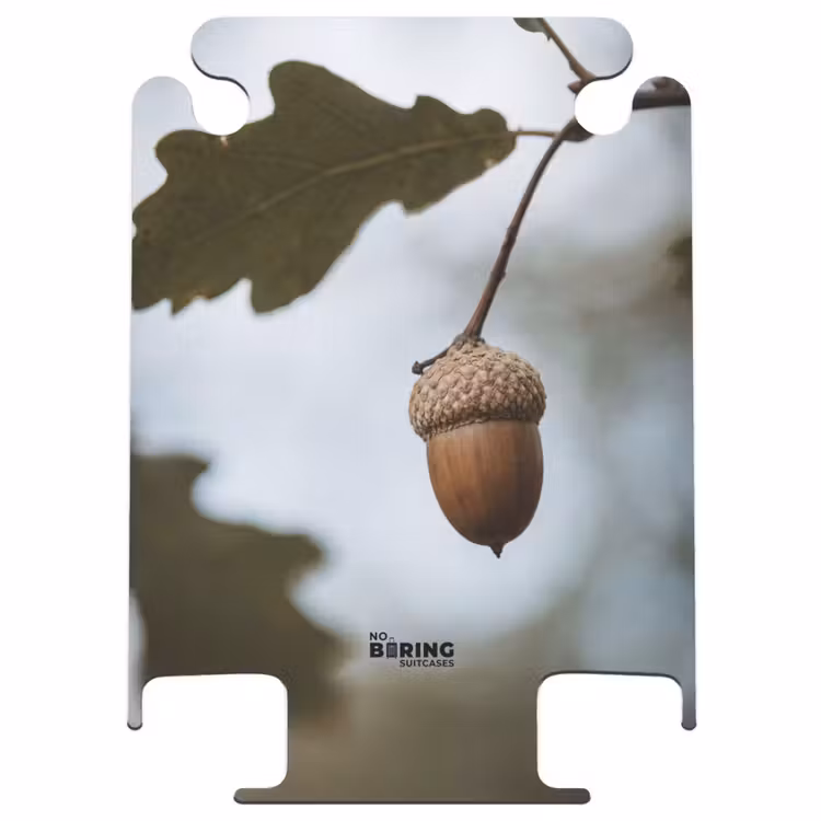 CaseSwap - Eichel – Eichenblatt – Wald – Herbst – Natur — 1