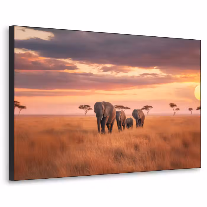 Art Frame - Elefantengruppe - Offene Ebene - Sonne