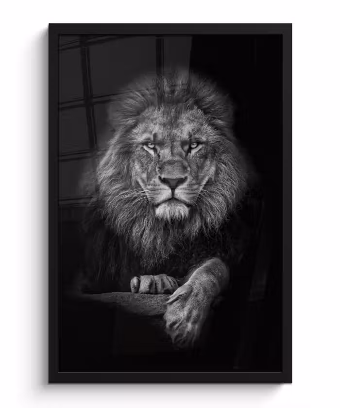 Poster mit Rahmen - Löwe - Tiere - Schwarz - Weiß