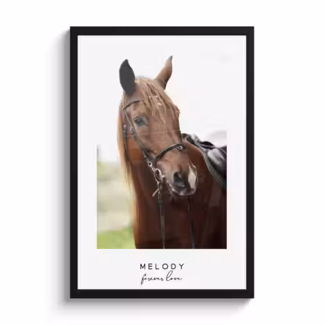 Personalisierte poster Pferd
