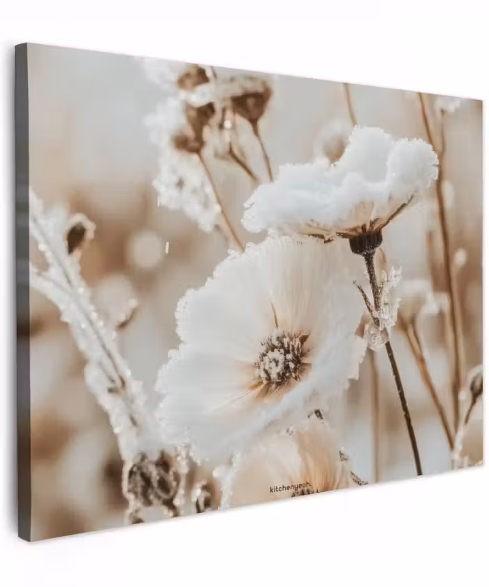 Leinwandbild - Blumen - Beige - Winter