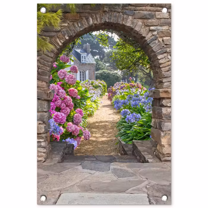 Outdoor Poster - Verstopfter Garten